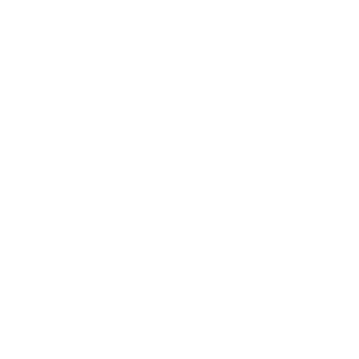 logo_weiss-ohne-schrift-drunter-und-ohne-hintergrund